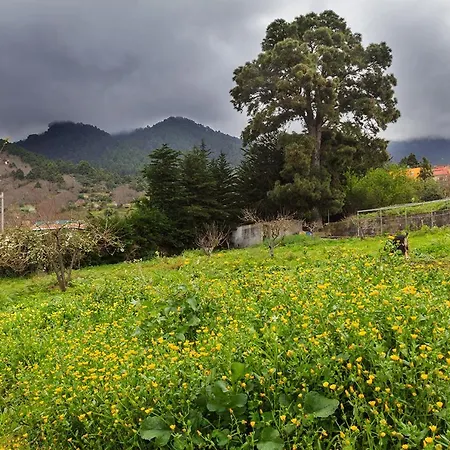 Casa Rural Pinolere * La Orotava
